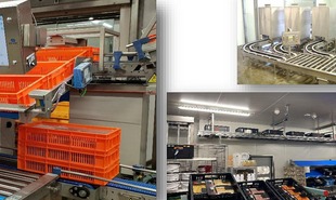 Xinepartner Studer Holland